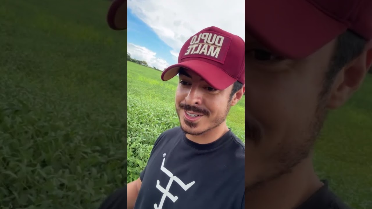 🌱🚜 A Fazenda JV tem plantação de soja 