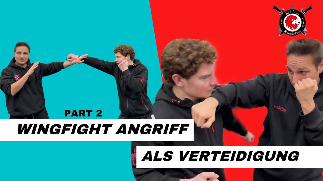 WingFight Angriff als Verteidigung v2