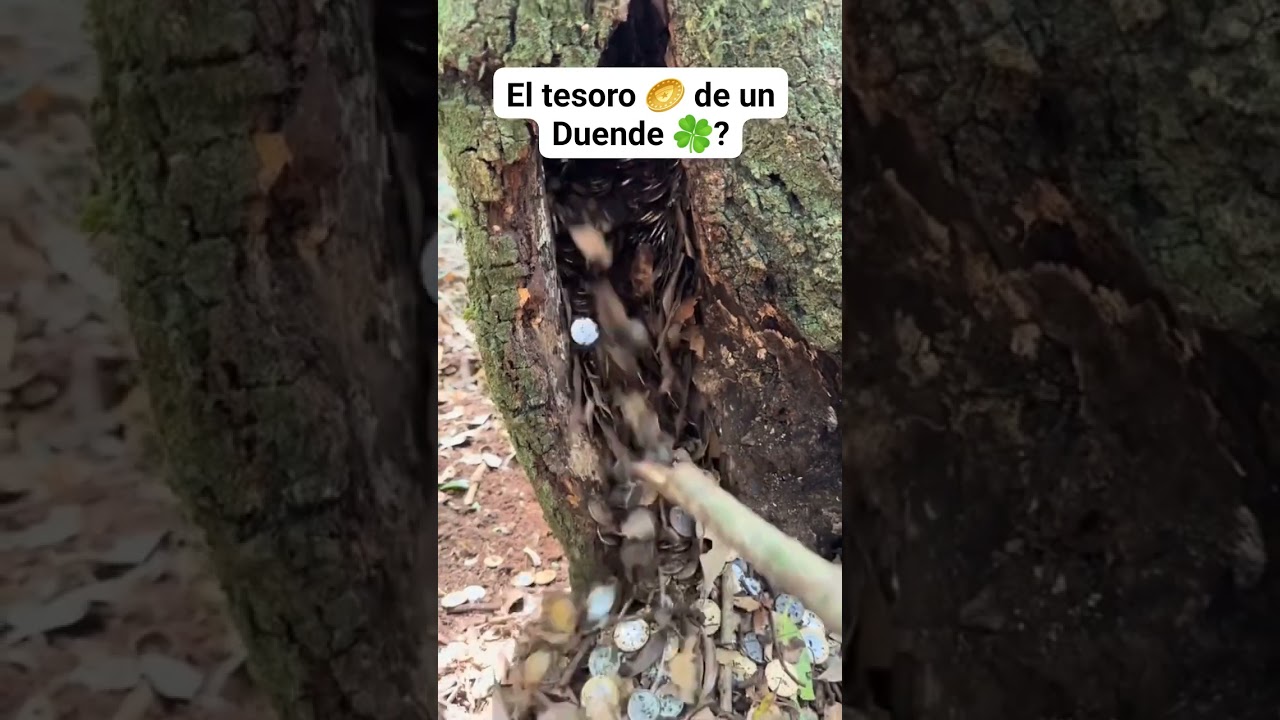 duende #clips #aterrador #viralvideo #terrorymisterio #relatosbizarros