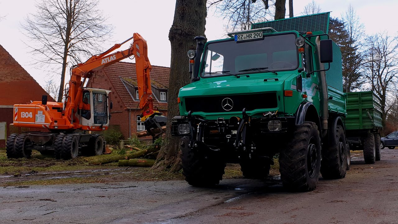Baumfällung | Unimog U1600 hackt alles klein 👌