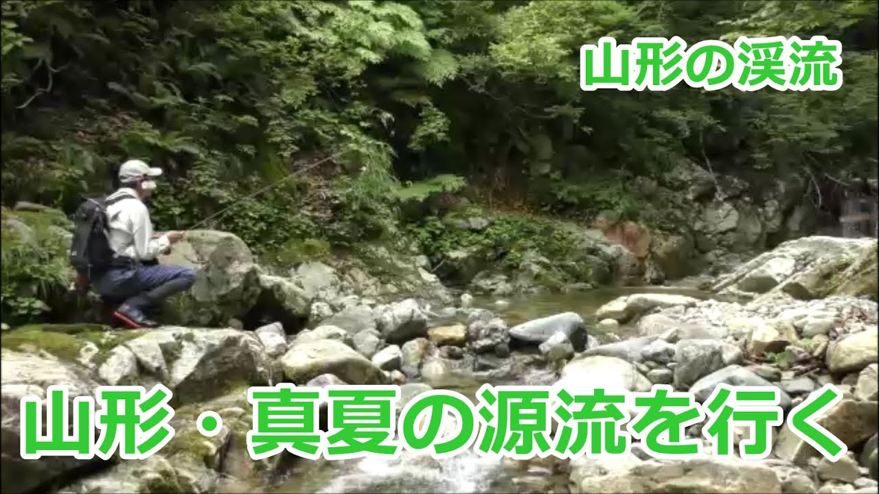 山形・真夏の源流を行く  /  ｲﾜﾅ30cm  ～山形の渓流～  / みちのく釣りの旅  ﾌﾗｲﾌｨｯｼﾝｸﾞ渓流釣り(4K) fly fishing