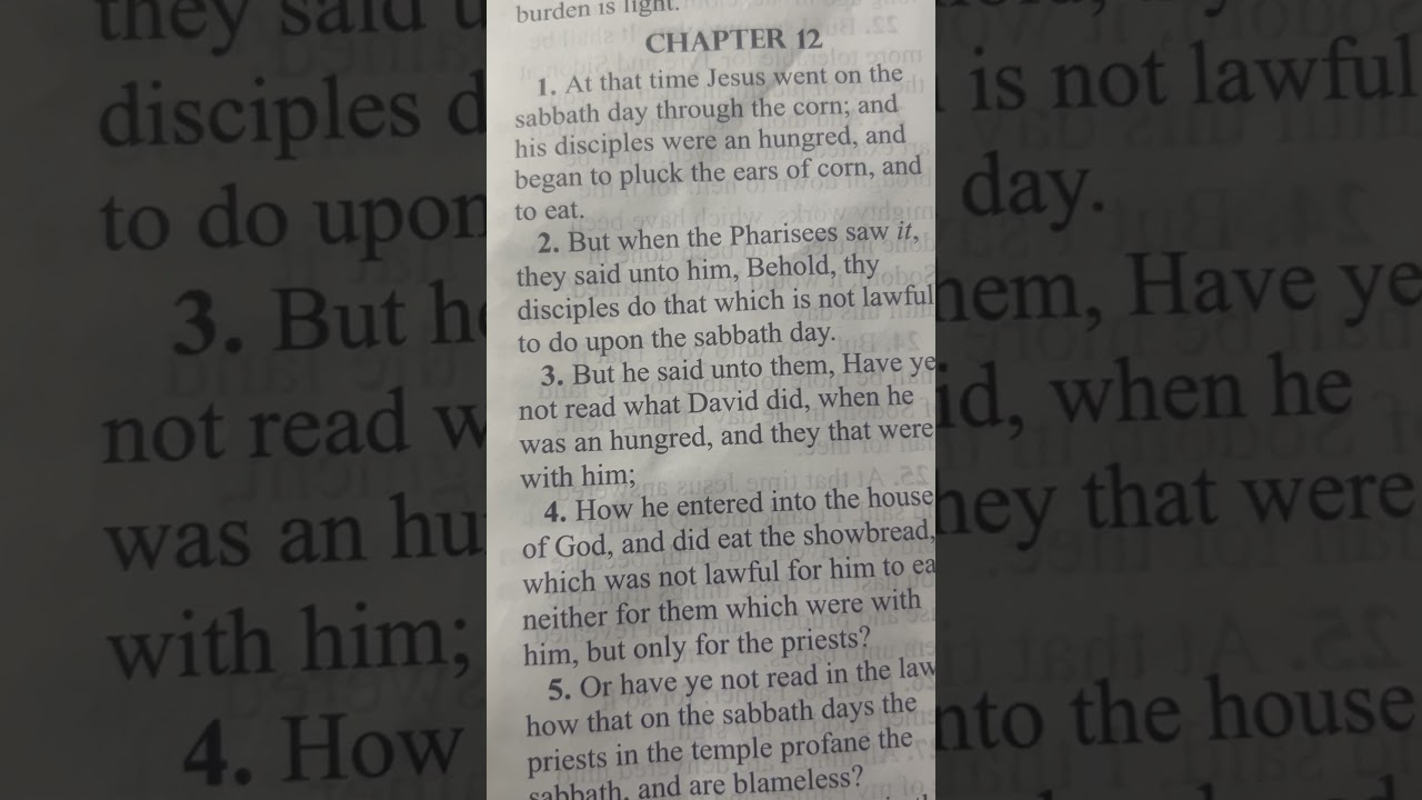 Mercy Above Ritual – Jesus Defends the Hungry -Saint Matthew 12:2-4
