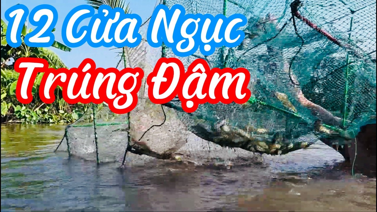 Một Mẻ 12 Cửa Ngục Dính Cá Chốt Đặc Nước | Nấu Ăn Ngay Trên Vỏ Lãi