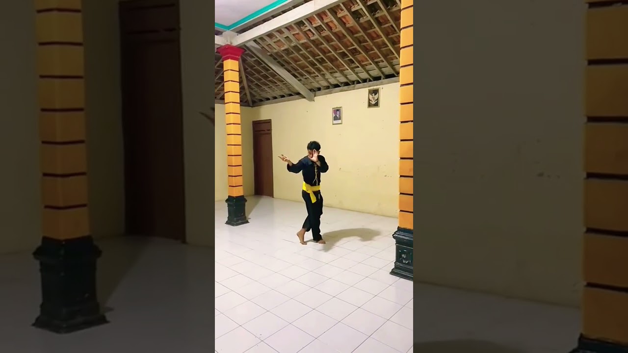 Aksi Solospel Kembangan Jurus Seni Pencak Silat PSHW TM SH WINONGO STK MADIUN INDONESIA #shorts