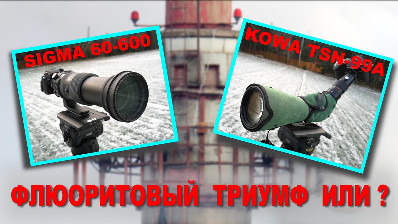 KOWA TSN-99A против SIGMA 60-600 SPORT. Тесты