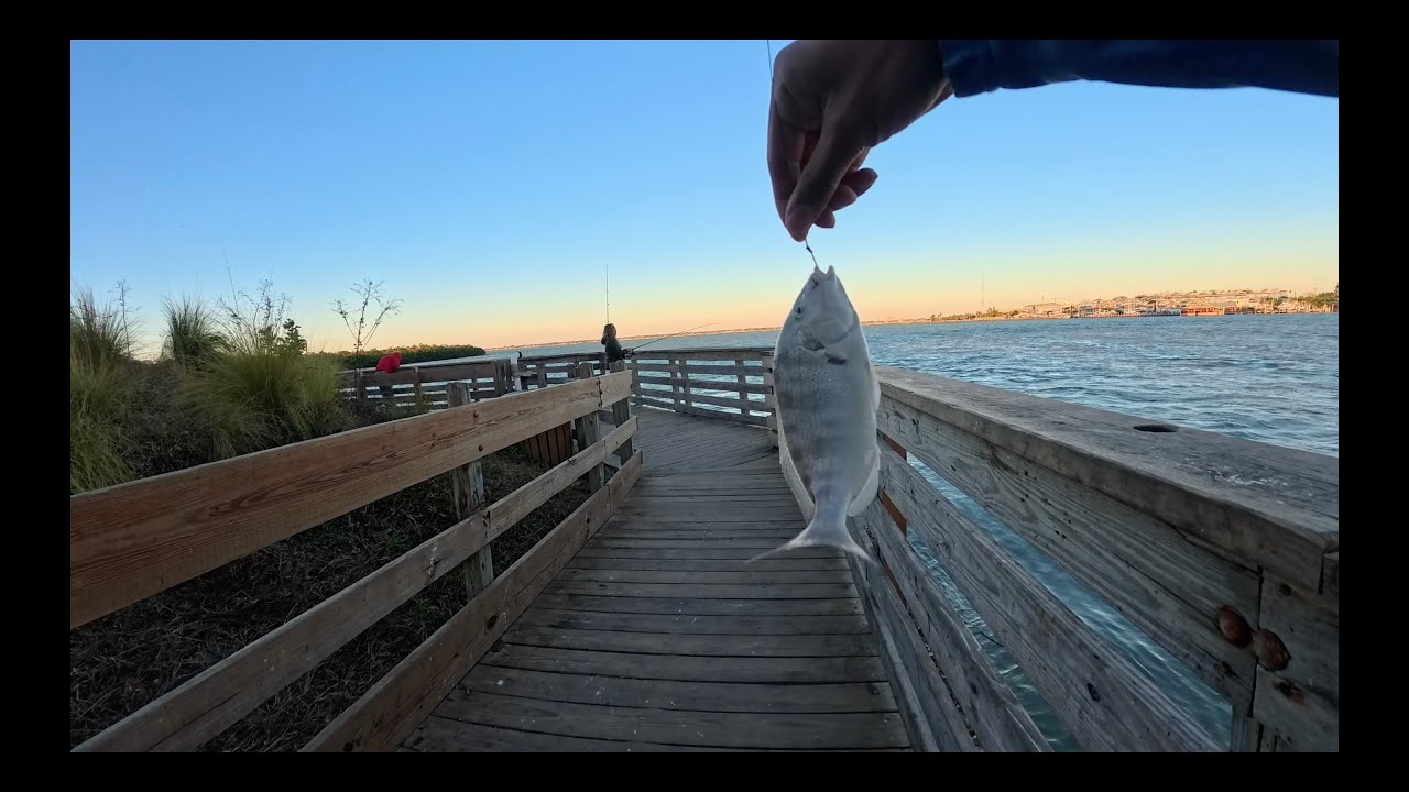 Catching A Shark While Fishing!
