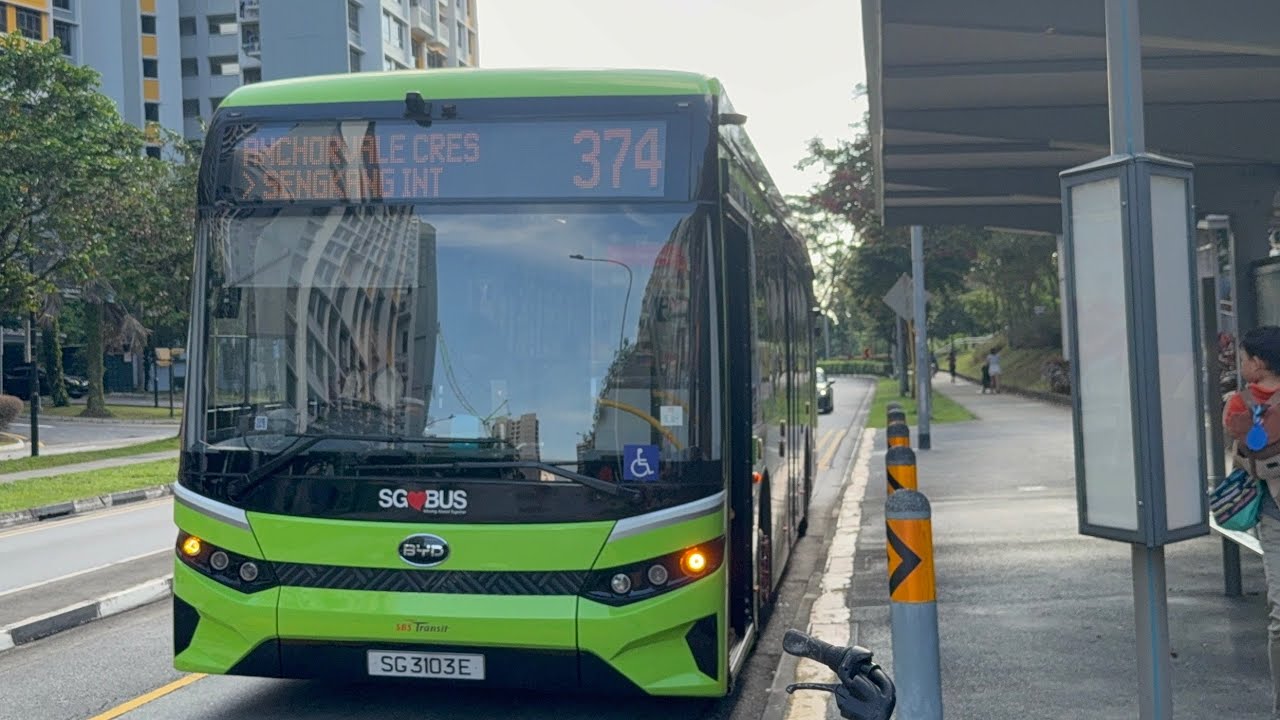 BYD BC12A04 Zhuhai SG3103E on 374 from Opp Blk 326D➡️Blk 338A