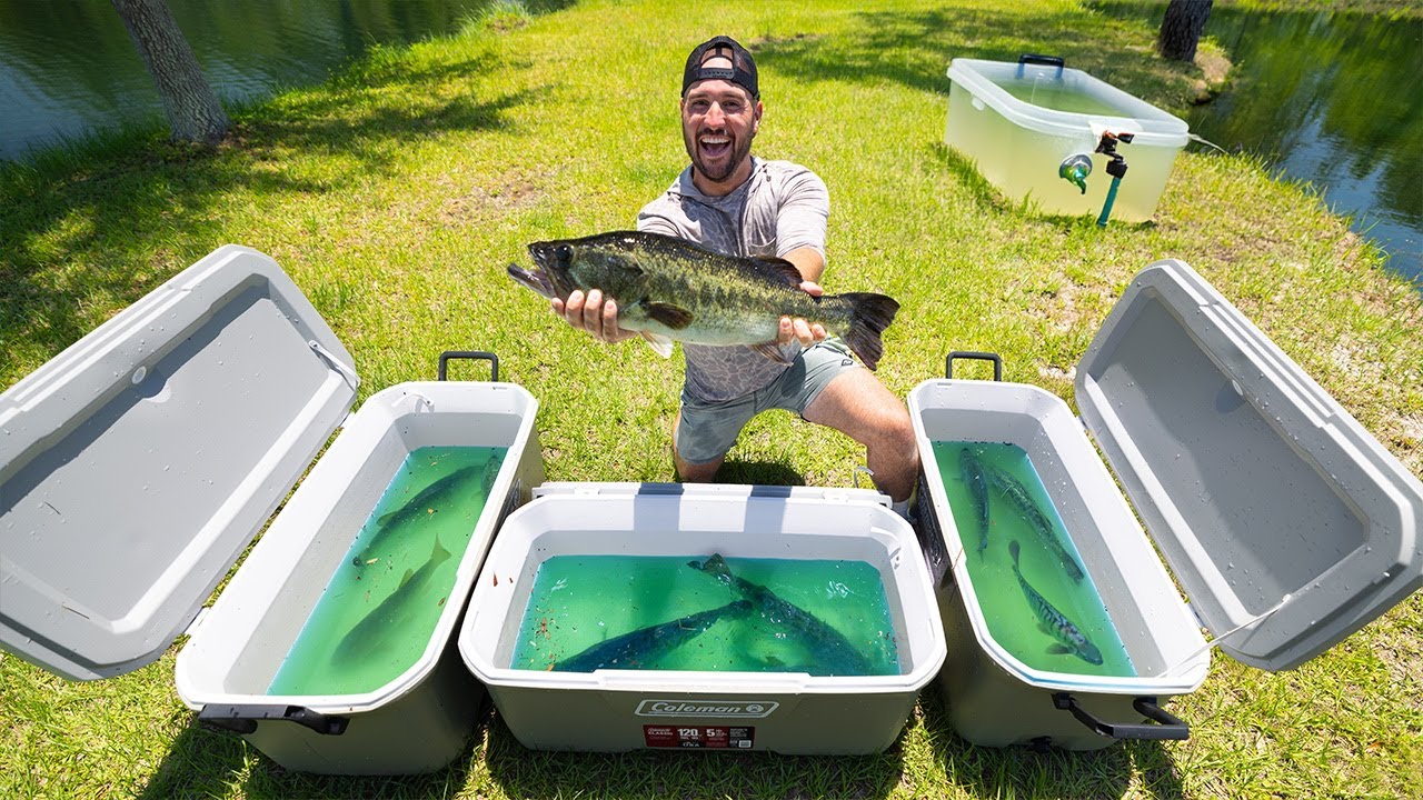 Stocking 15 PET TROPHY BASS To our NEW POND!! (Fishermans Candy Store)