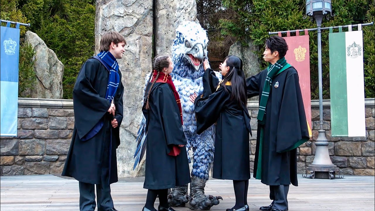 2か月ぶりにフリートウィングが帰ってきた!!《USJ ヒッポグリフ・マジカル・レッスン 2025》