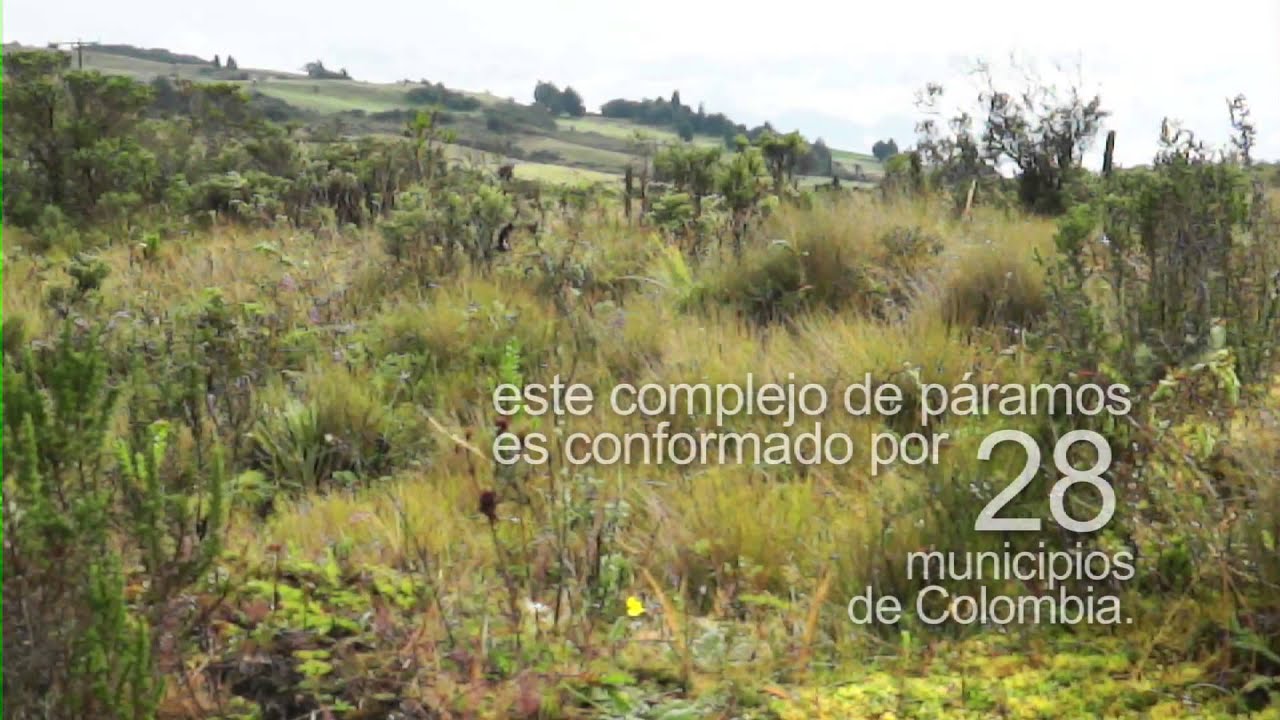Santurbán es Vida