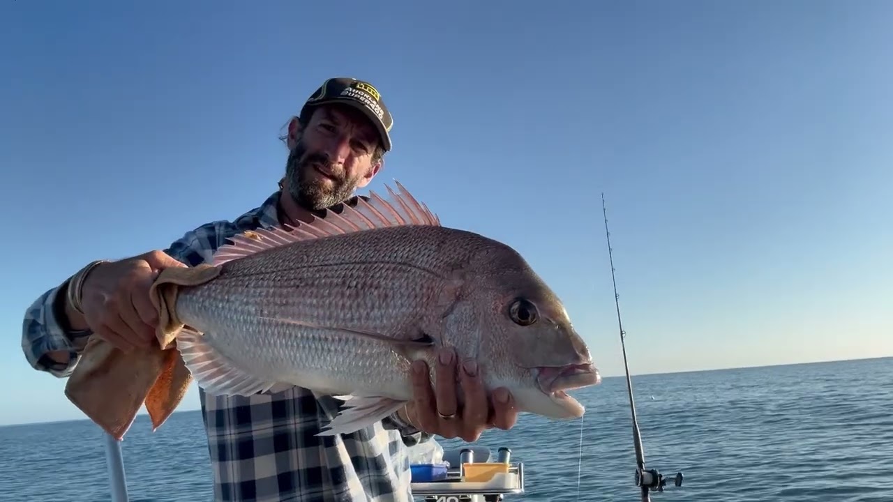 Fishing for snapper around the top of the south, RSA Fishing comp On the level NZ Episode 2