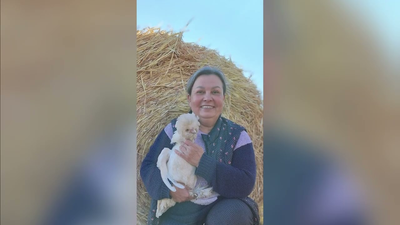 Терміново потрібен новий курник!