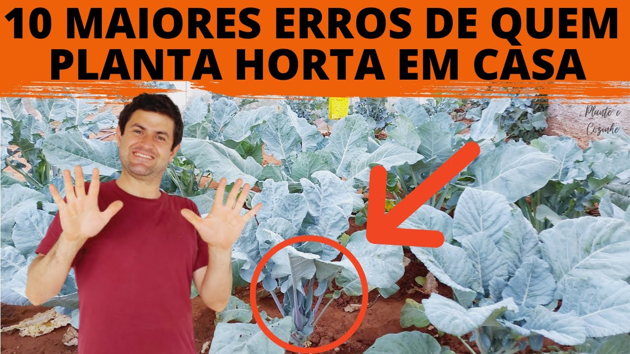 OS DEZ PIORES ERROS COMETIDOS POR QUEM CULTIVA HORTA EM VASOS OU NO QUINTAL (Ep85)