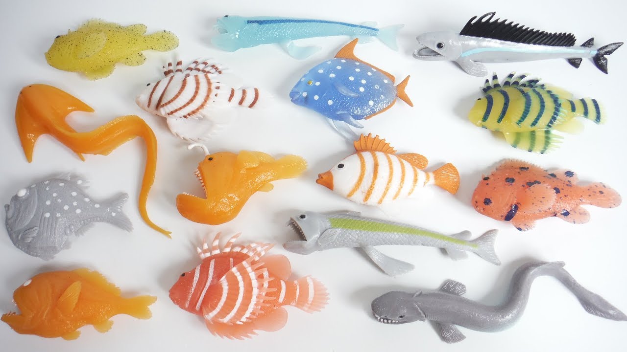 のび〜る深海魚!!シーモンスターズ＆Ｃｏ.（アンドコ）『1BOX 開封』デアゴスティーニ SEA MONSTERS & Co. DeAgostini 食玩 candy toys