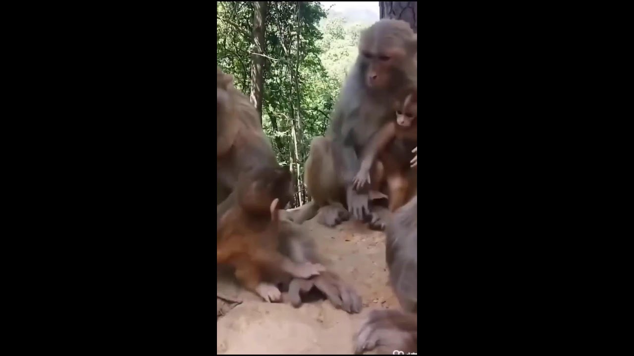 Kera marah