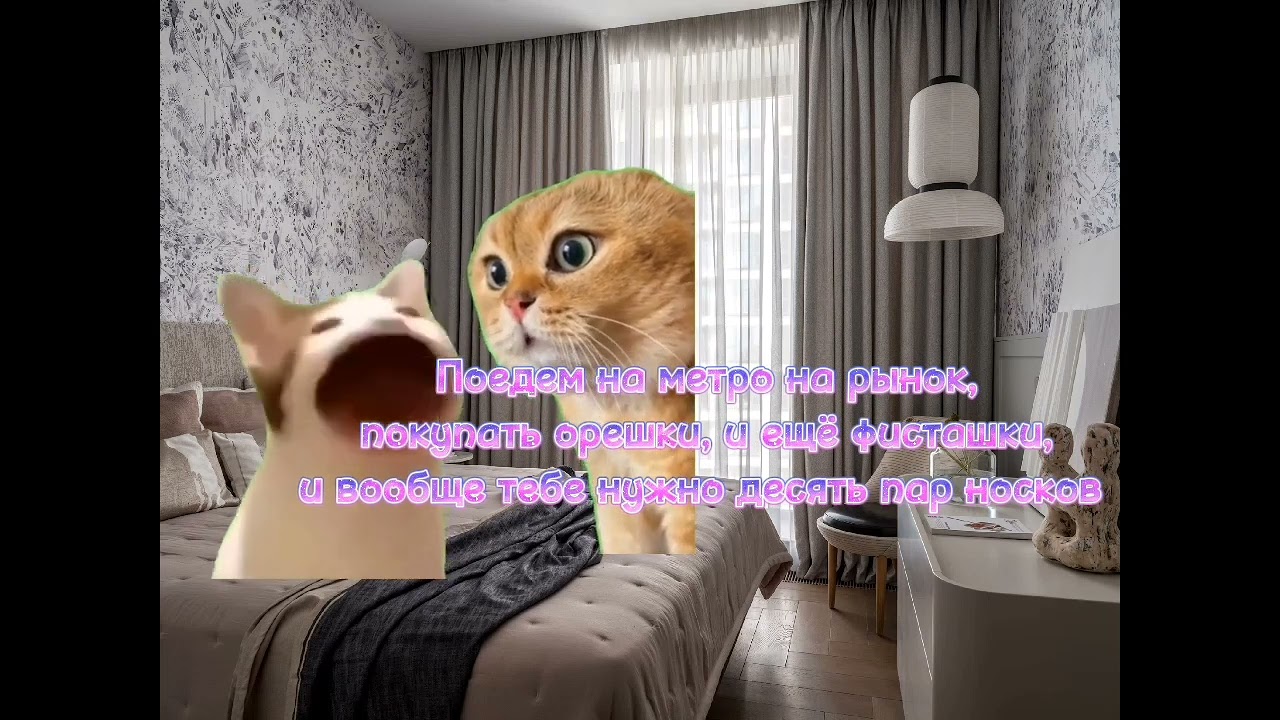 Приключения Поп - Кэта 🐈 Все серии