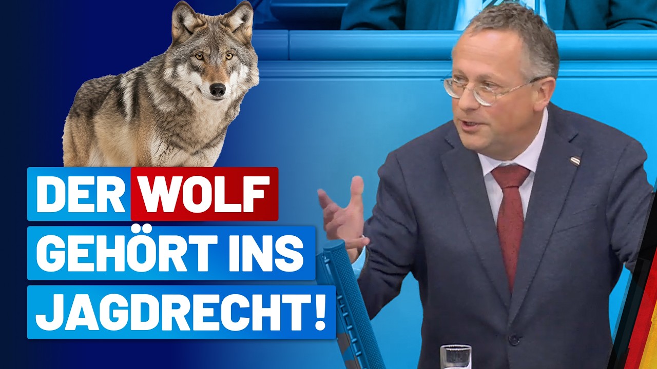 Der Wolf kennt keine Landesgrenzen! - Peter Felser - AfD-Fraktion im Bundestag