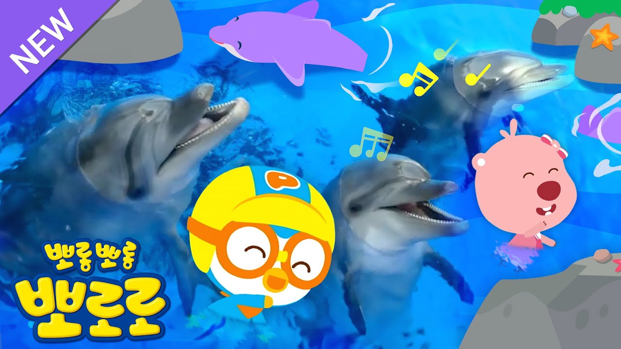뽀로로와 바다동물 친구들 | 바닷속 최고 가수, 고래의 노래! |  바닷 속 친구들을 만나 보아요! | 뽀로로 동물 동요 | 뽀로로와 노래해요