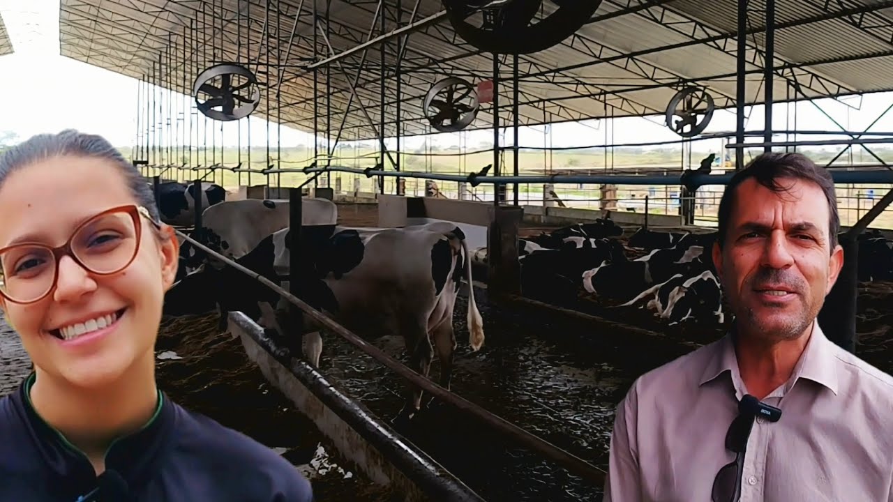 5 MIL LITROS DE LEITE PARA 10 MIL | FAZENDA AVELAN | PROJETO DE SUCESSO NA PECUÁRIA LEITEIRA