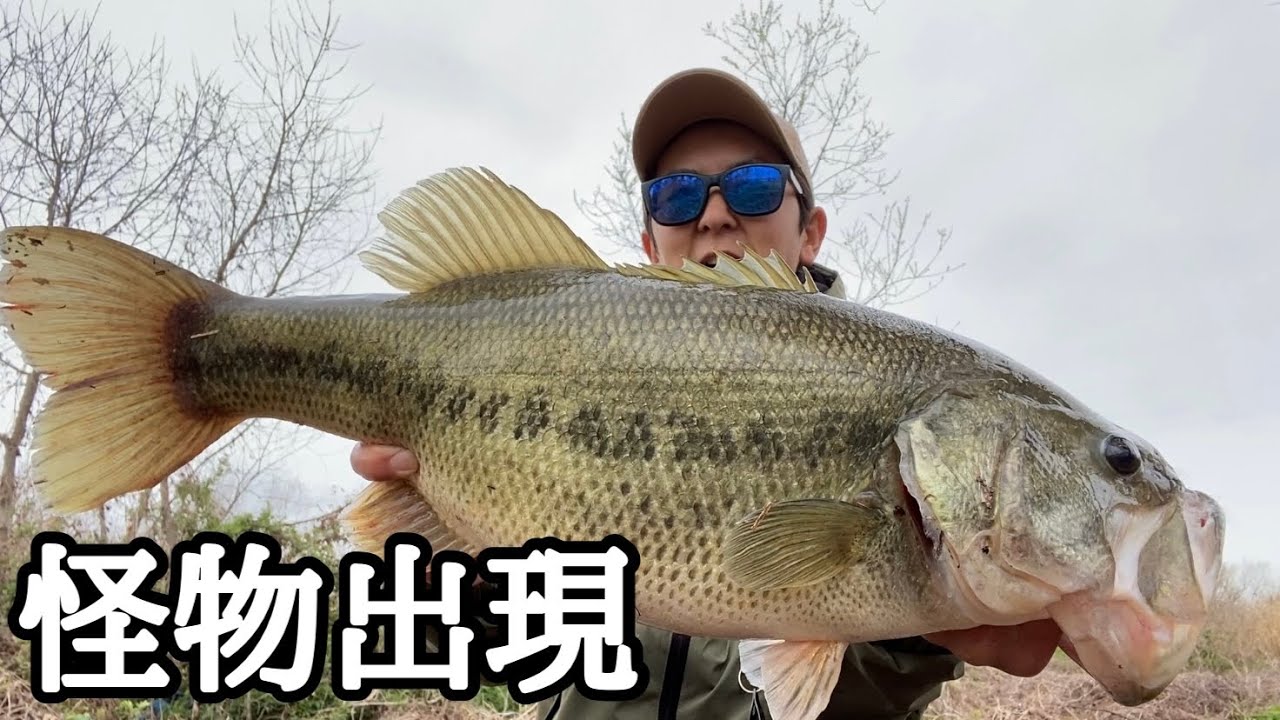【春のXday】モンスターバスが釣れる日を知りたい方はこちらをご覧ください