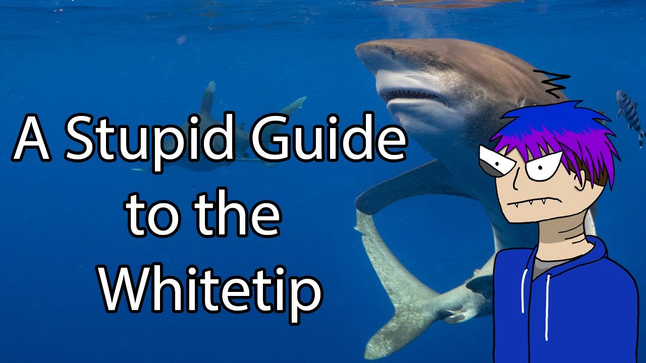 A Stupid Guide to the Whitetip (Depth Guide)