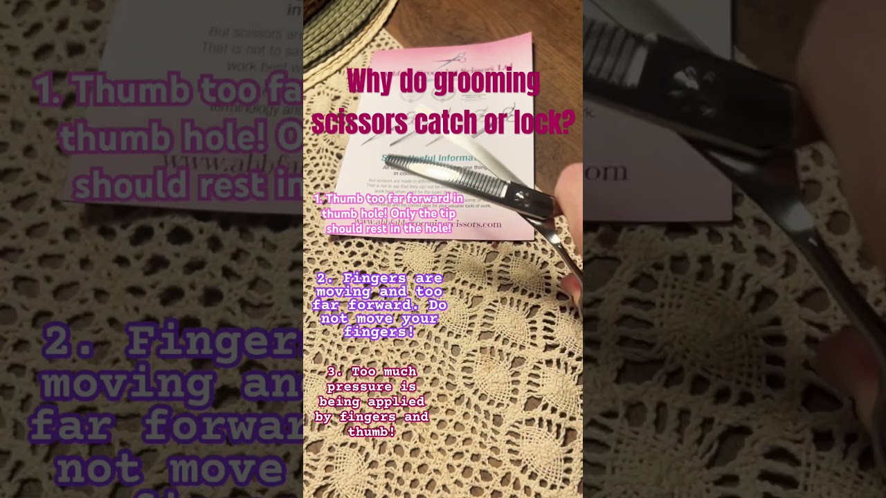 Why do grooming scissors catch or lock? #doggroomingforbeginners #petgrooming