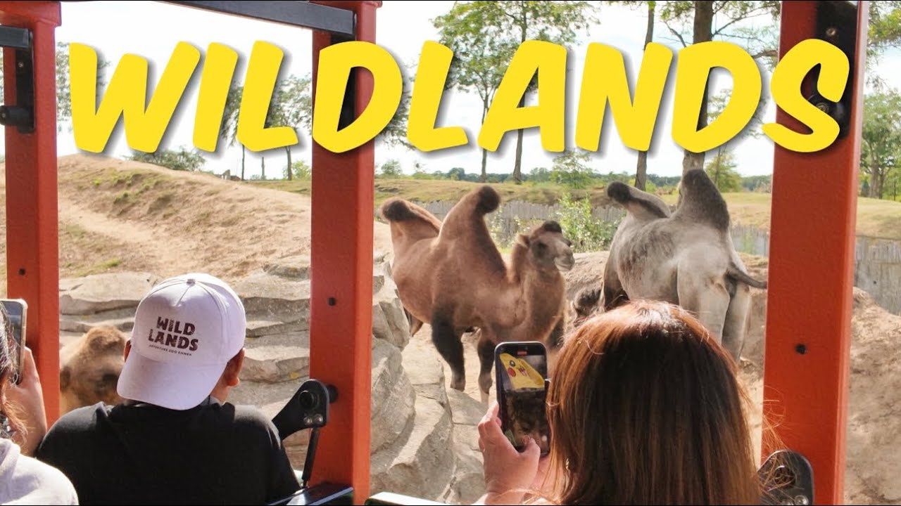 OUR ZOO ADVENTURE IN WILDLANDS EMMEN NETHERLANDS PART 1 
