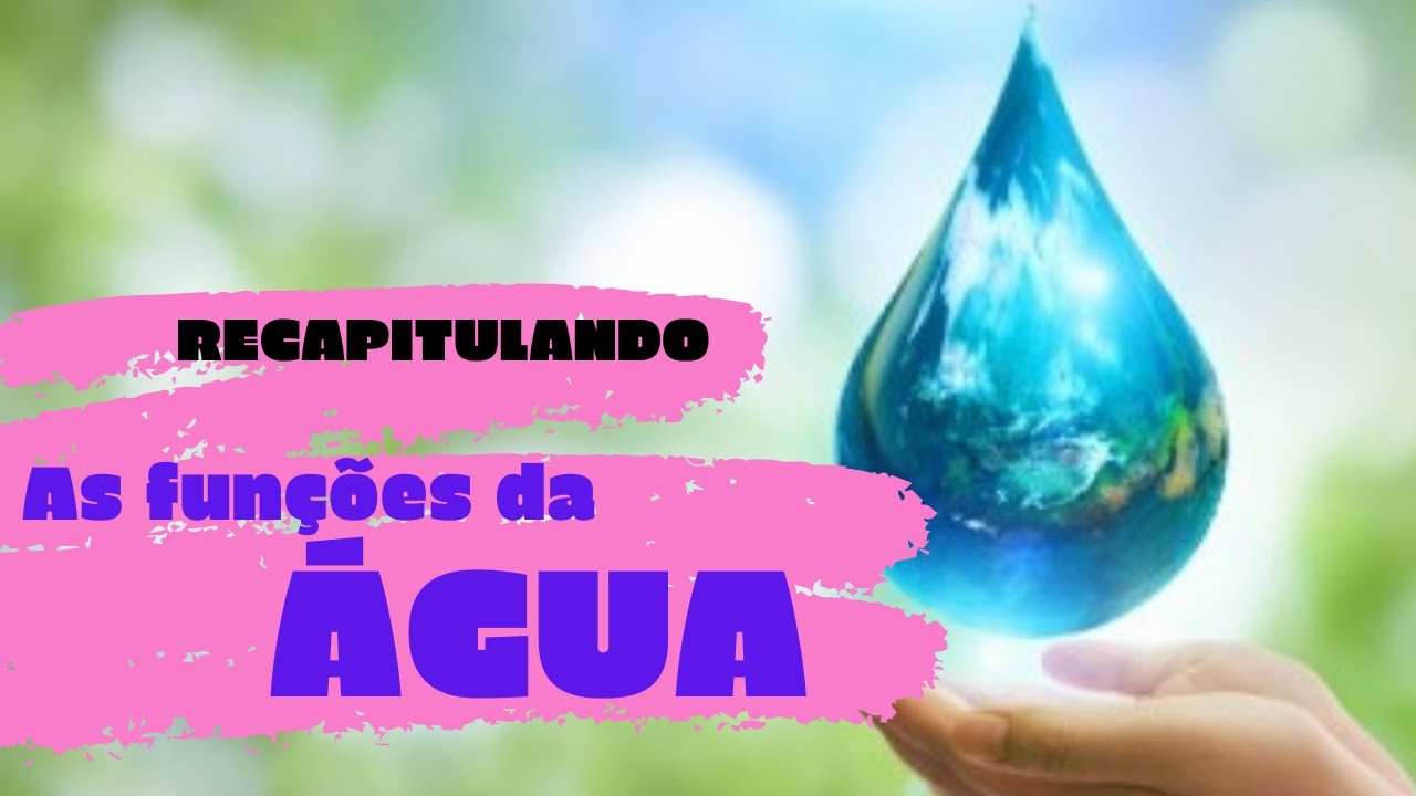As funções da água.
