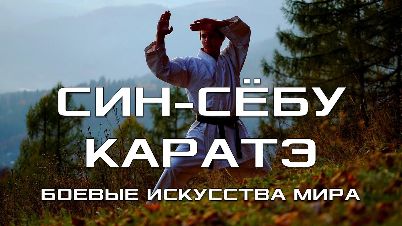 СИН-СЁБУ КАРАТЭ. БОЕВЫЕ ИСКУССТВА МИРА. В ПОИСКАХ СОВЕРШЕНСТВА