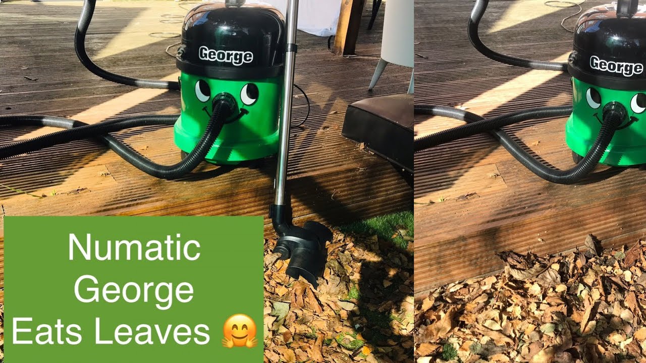 Numatic George Eats Leaves, Full Demonstration