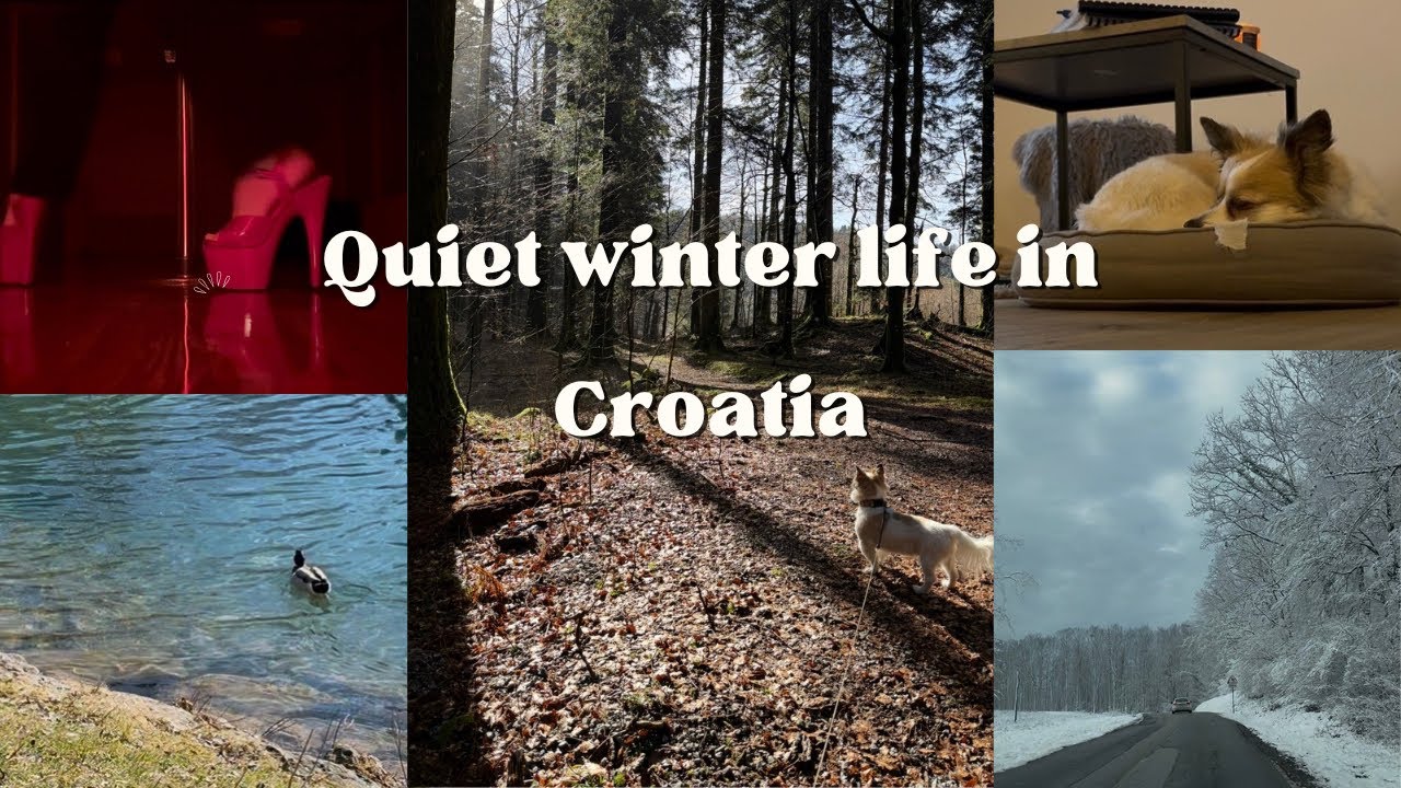 Cozy Winter Weekend in Croatia | Forest, Dog, Cooking & Cleaning💫💗