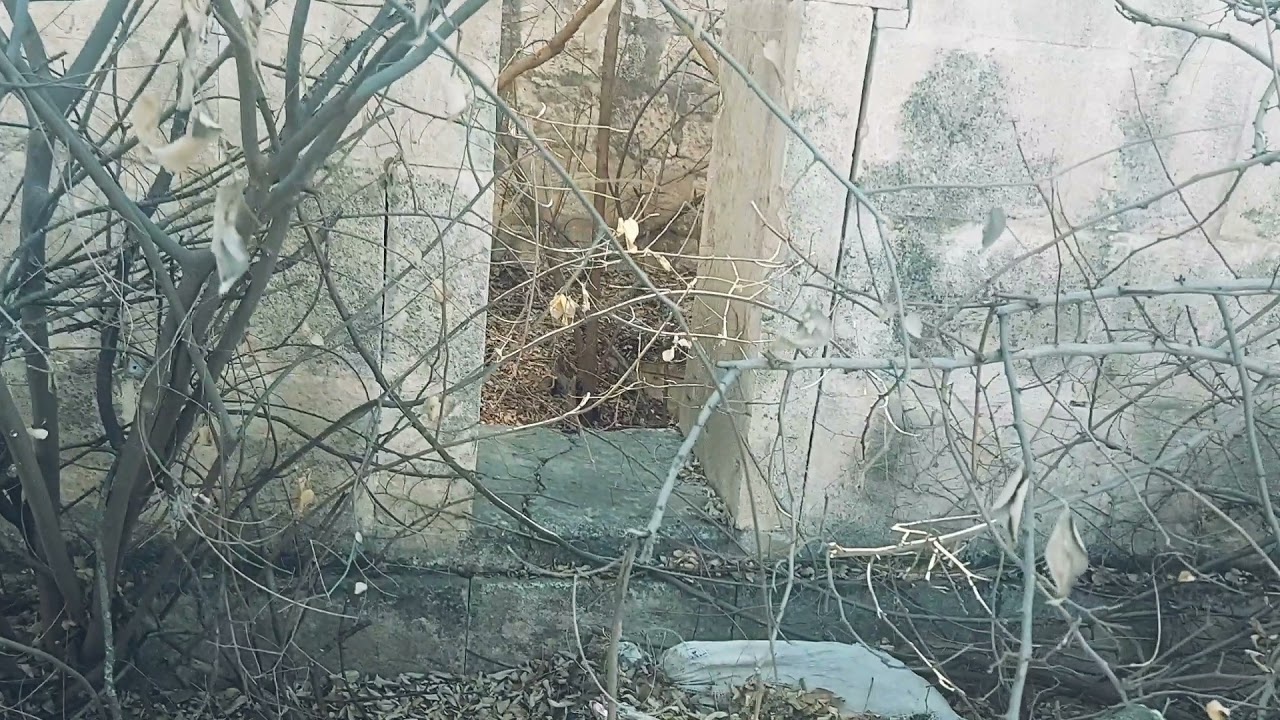 Ağdam rayonu Paprevend kəndi 23.12.2021
