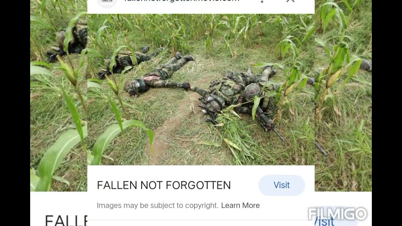 SAF 44 not Forgotten!