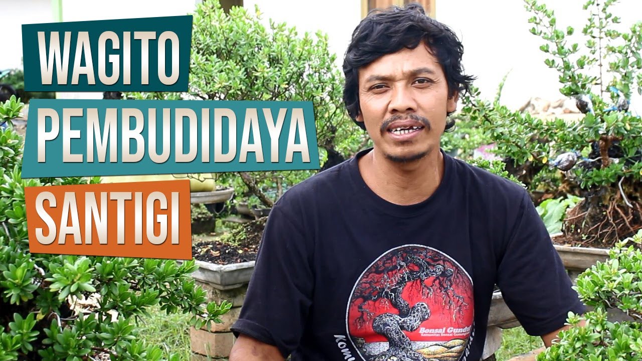 Mas Wagito, Pembudidaya Santigi Dari Pantai Krakal, Gunung Kidul, Yogyakarta