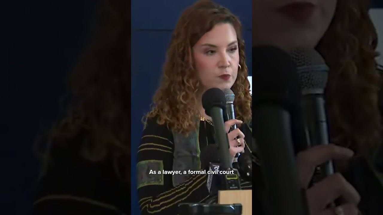 Независимое расследование смертельного инцидента со стрельбой при участии ICE