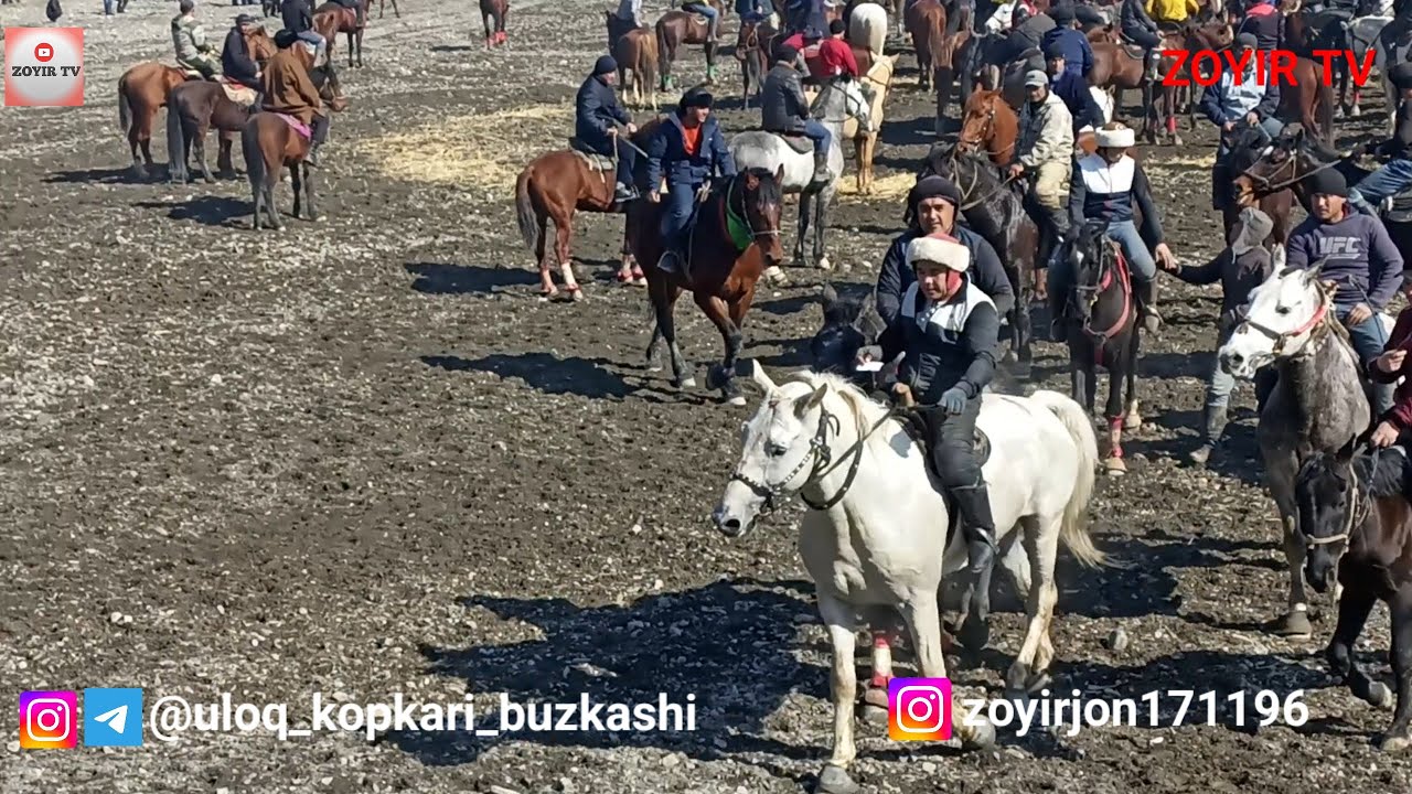 бузкаши улок Халим полвон Нов