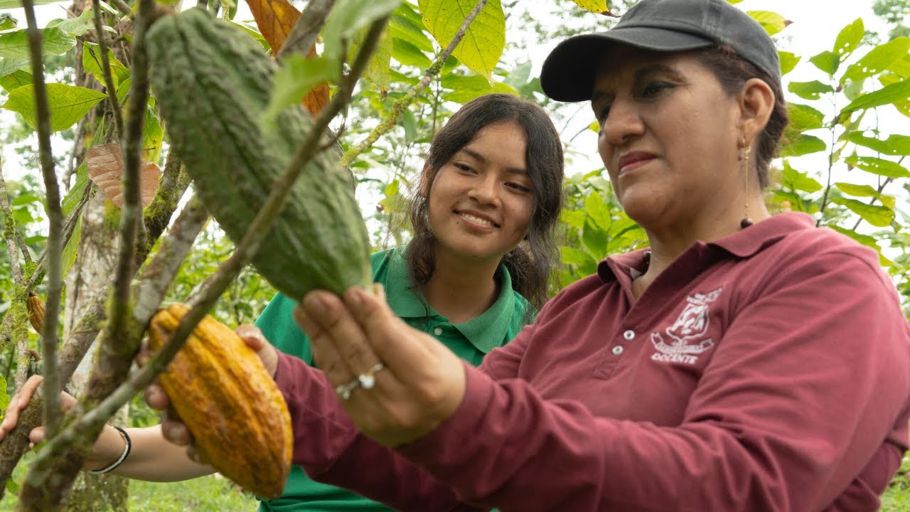 VVOB Ecuador- ¡VAMOS! Linking agro-learning for a sustainable world (english subtitles)