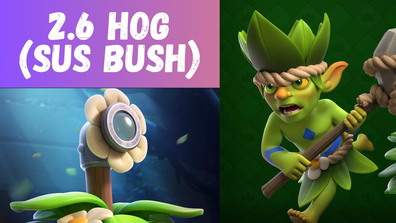 2.6 but with suspicious bush￼