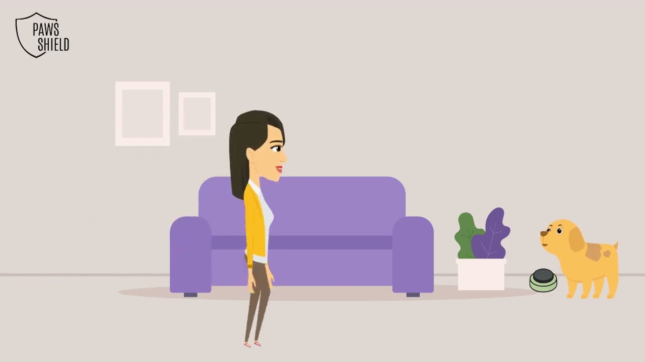 Talk To Me | How to Train Your Dog to Use Communication Buttons