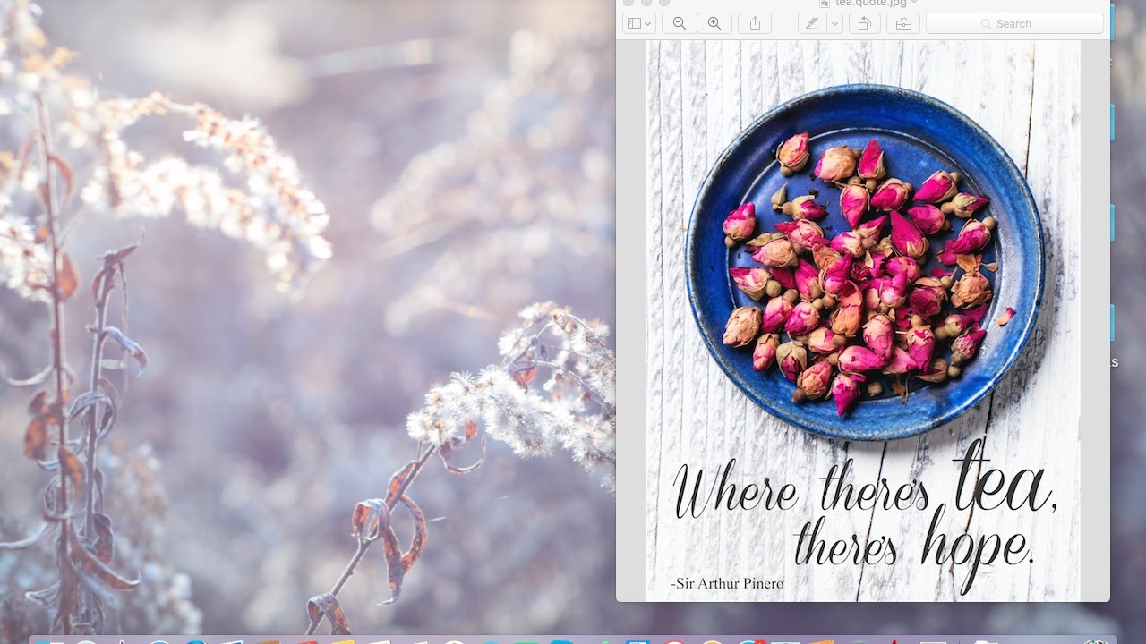 Creating Social Media Graphics + Free Graphic StockTrial!