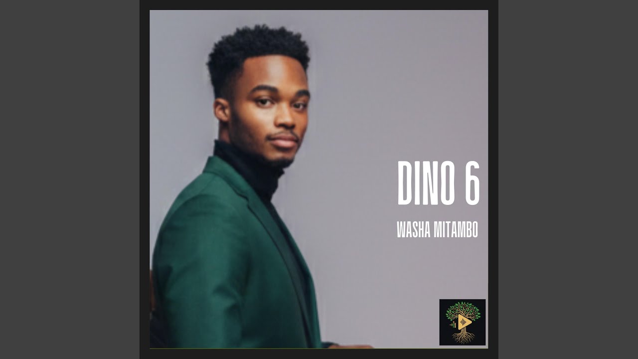 WASHA MITAMBO (Dino 6)