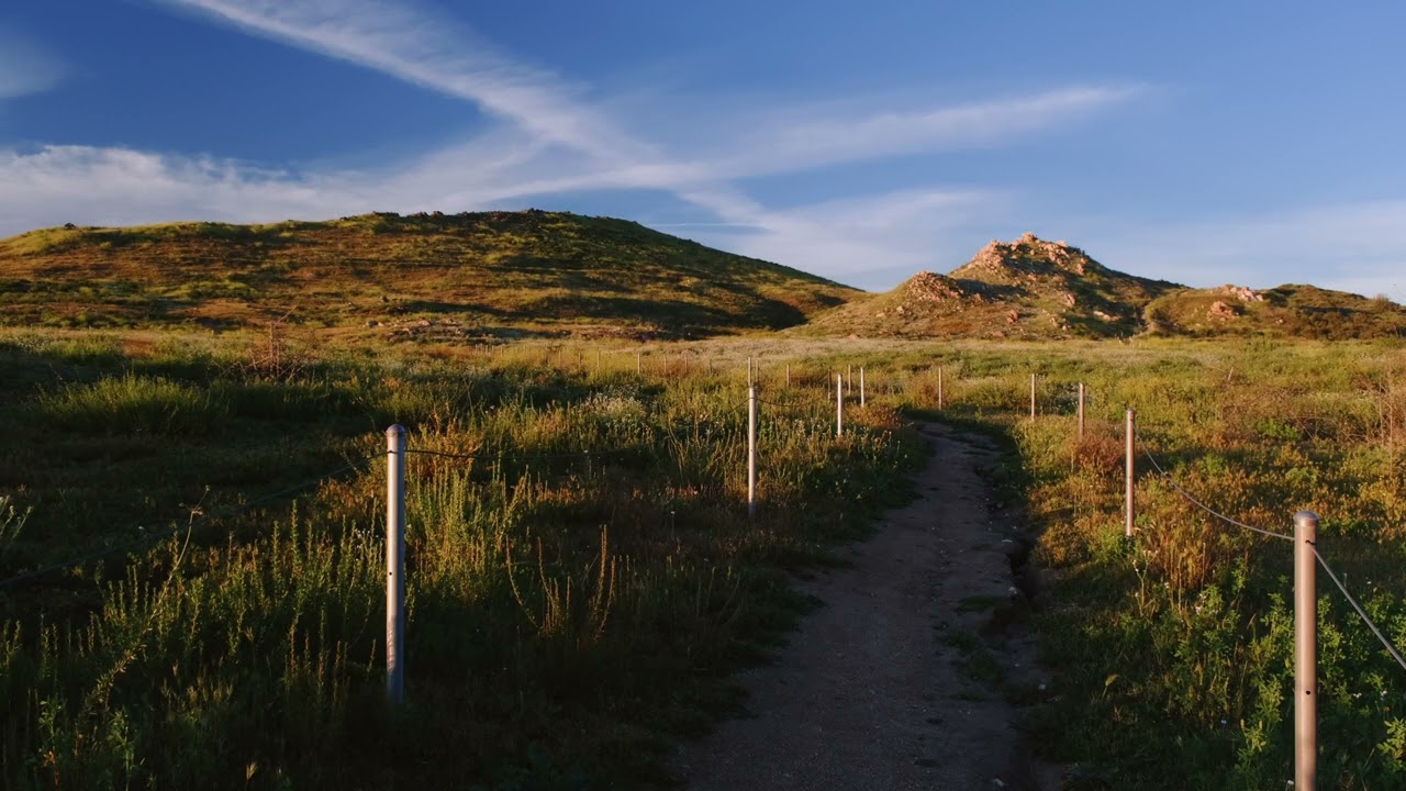Golden Hour Hillside &ndash; 30 Minutes of Peaceful Ambient Music