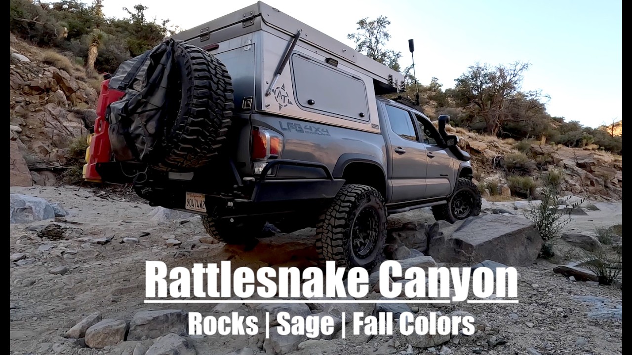 Скалы, шалфей и осенние краски | Каньон Рэттлснейк