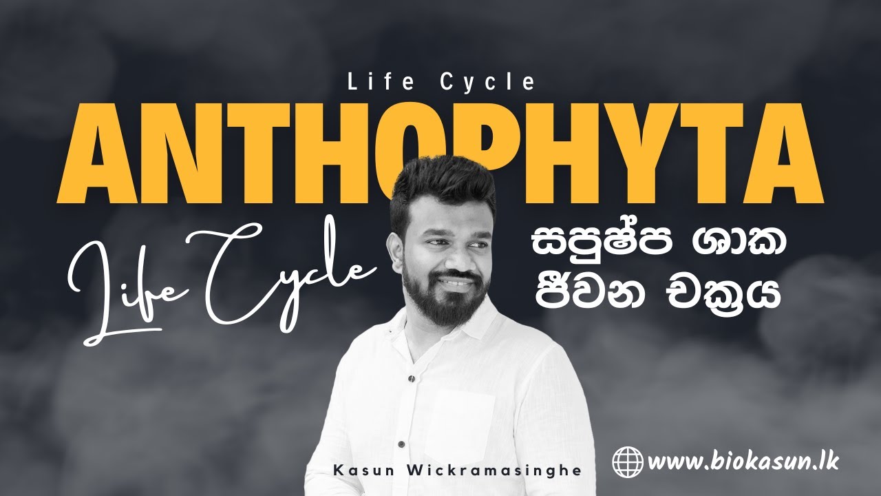 Anthophyta Life Cycle - Unit 4 | Biology - Kasun Wickramasinghe