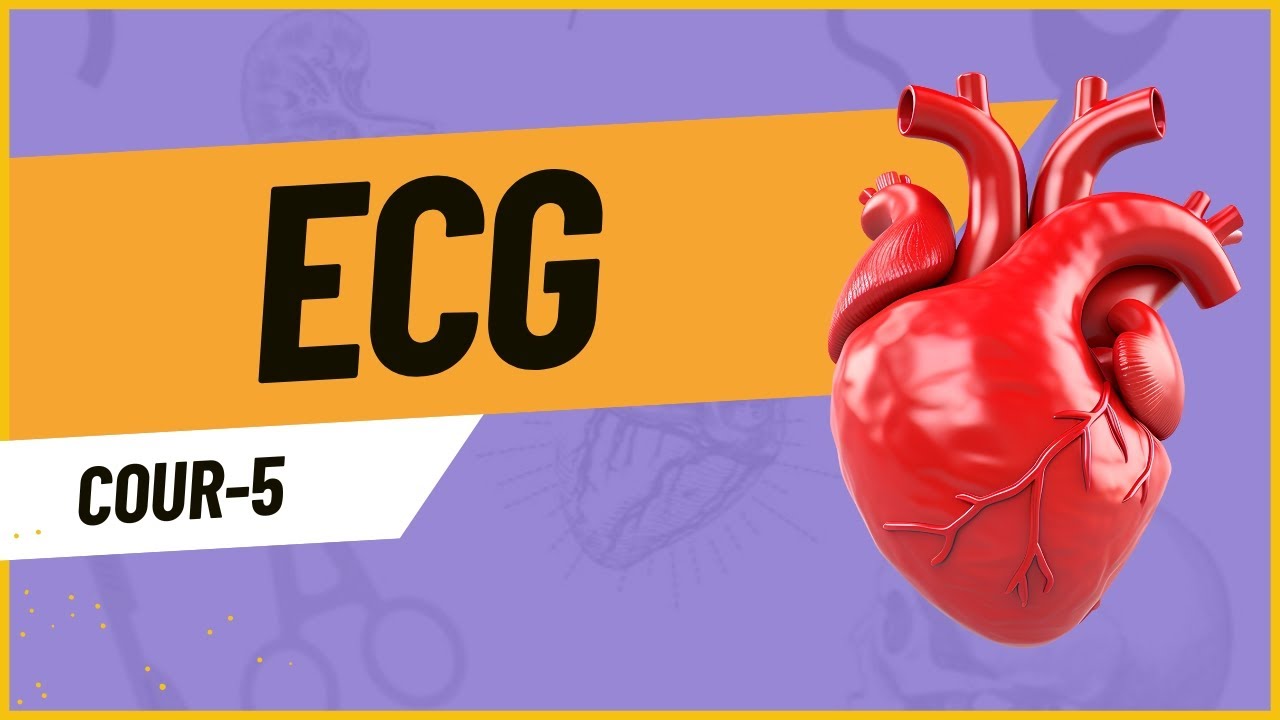 5- ECG