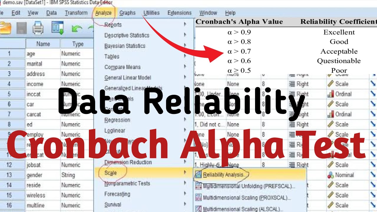 የዳታ/የመጠይቅ ትክክለኛነት (Data Reliability Test) መለኪያ፡ Cronbach Alpha Test