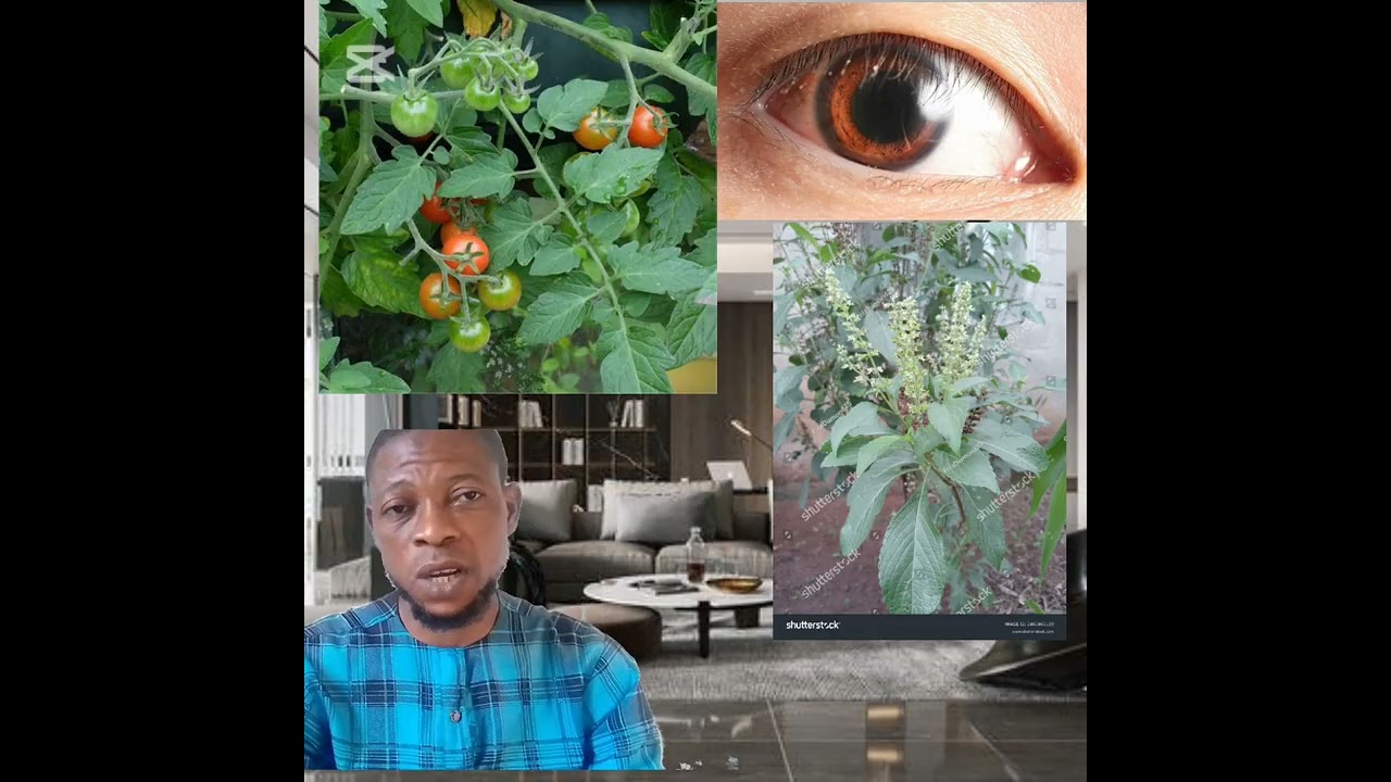 OGUN OJU (EYES) TIKORIRON DADA TODAJU TAARA TESTED CONFIRM MANY TIMES