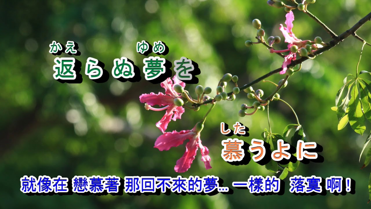十代の恋よさようなら (可憐戀花再會吧)  音圆  2191