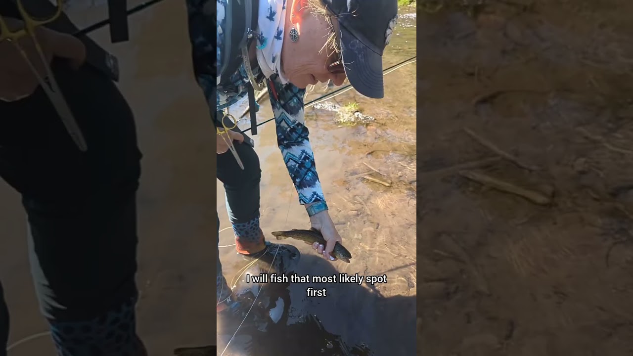 Where to Cast in Small Streams