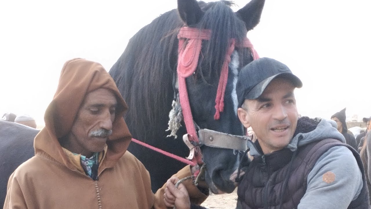 سوق الثلاثاء الخميسات مع دريس موزون بتاريخ اليوم 28/10/2025